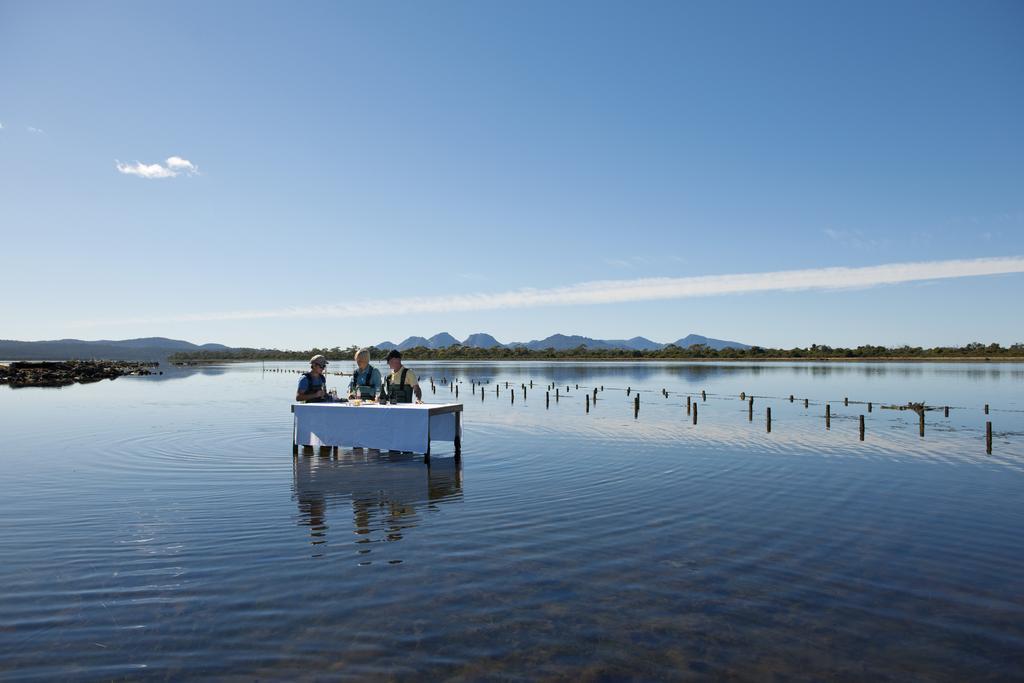 Hotel Saffire - Freycinet Coles Bay Exteriér fotografie
